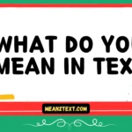 what do you mean in text