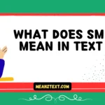 what does smi mean in text