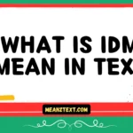 what is idm mean in text
