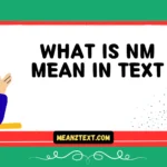 what is nm mean in text
