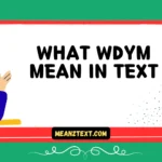 what wdym mean in text