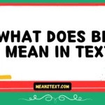 what does bbd mean in text
