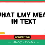 what lmy mean in text